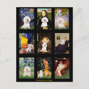 Bekende Art Bichon Frise Composite Briefkaart