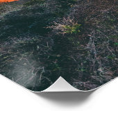 Bekende Bridge-Afbeeldingen met beroemde Bridge-fo Perfect Poster (Hoek)