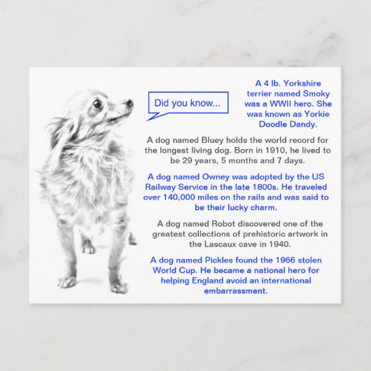 Bekende feiten van de Dogs Fun Briefkaart (Voorkant)