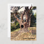 Bekende filmstructuur van de wizard briefkaart (Voorkant / Achterkant)