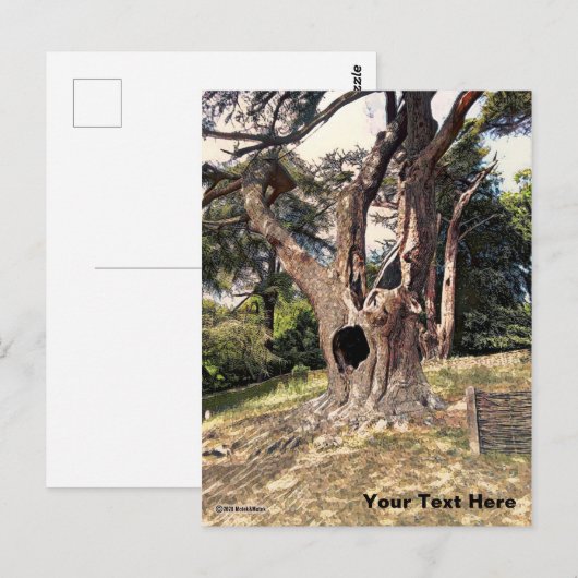 Bekende filmstructuur van de wizard briefkaart (Voorkant / Achterkant)