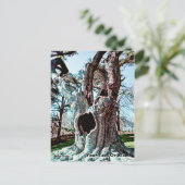 Bekende filmstructuur van de wizard feestdagenkaart (Staand voorkant)