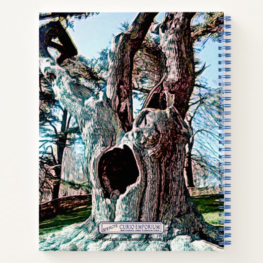 Bekende filmstructuur van de wizard notitieboek (Achterkant)