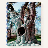 Bekende filmstructuur van de wizard notitieboek (Voorkant)