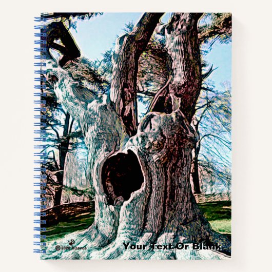 Bekende filmstructuur van de wizard notitieboek (Voorkant)