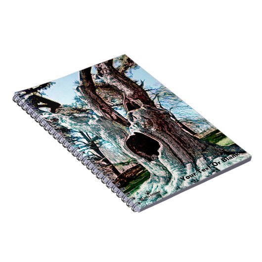 Bekende filmstructuur van de wizard notitieboek (Rechterzijde)