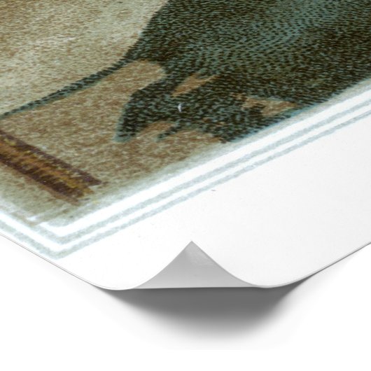 Bekende gevechtsvlaggen van de Unie - Bord 1 - Poster (Hoek)