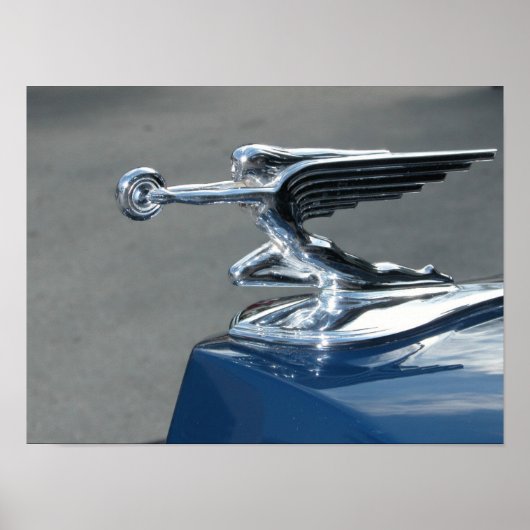 Bekende vliegdame Car Hood Ornament Poster (Voorkant)