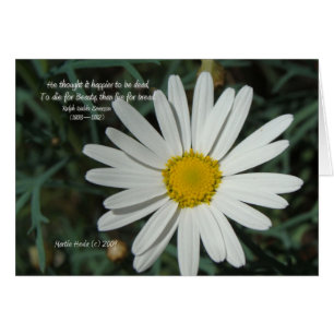 Bekende woorden: Beauty - White Daisy Card Series 