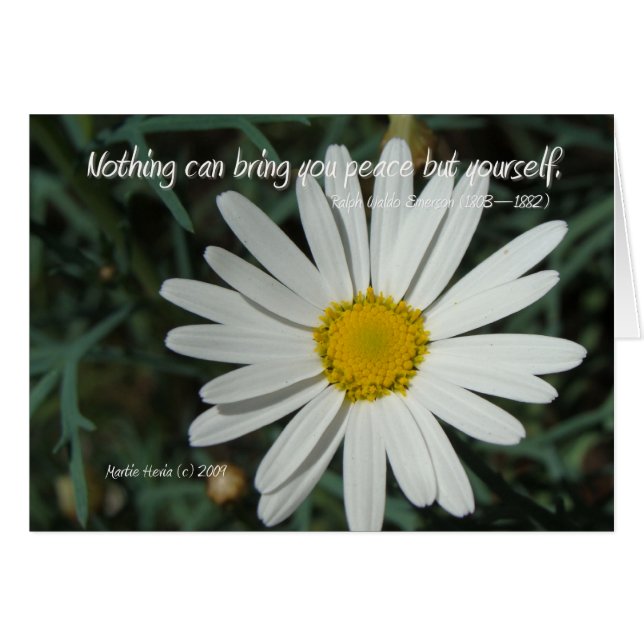 Bekende woorden: Peace - White Daisy Card-serie (7 (Voorkant Horizontaal)