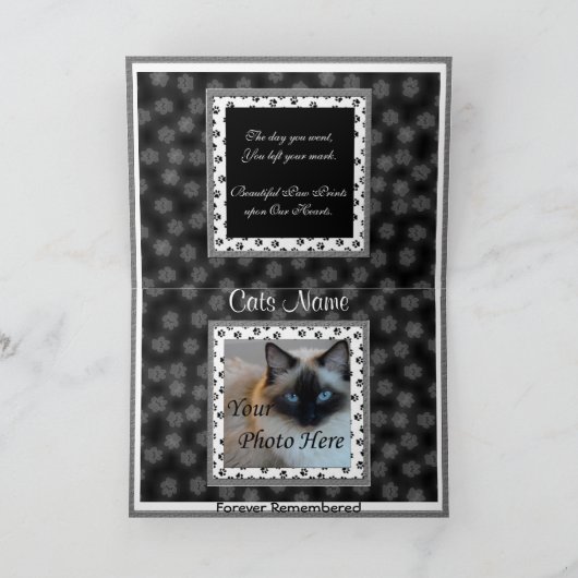 Bekendmaking van de kat-herdenking - Pet-verlies Aankondiging (Binnen)