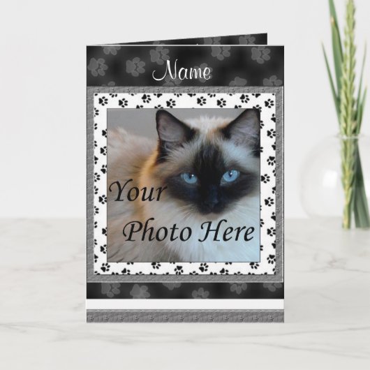 Bekendmaking van de kat-herdenking - Pet-verlies Aankondiging (Voorkant)