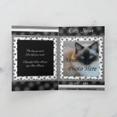 Bekendmaking van de kat-herdenking - Pet-verlies Aankondiging (Binnen)