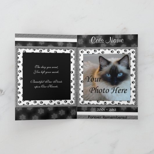 Bekendmaking van de kat-herdenking - Pet-verlies Aankondiging (Binnen)