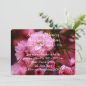 Bekendmaking van de roze Cherry Blossom Memorial S Kaart (Staand voorkant)