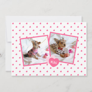 Bekendmaking van Girly Pink New Pet Adoption Aankondiging