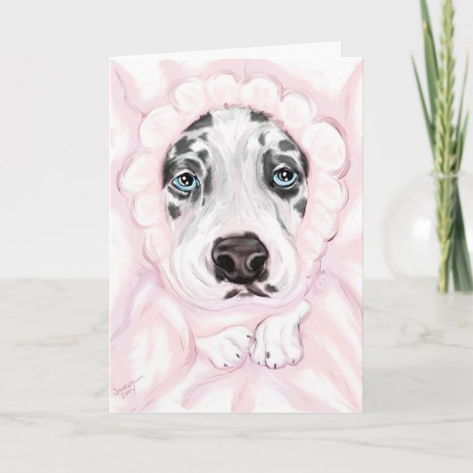 Bekendmakingen van Great Dane Baby Harlequin Girl Aankondiging (Voorkant)