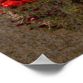 Beker cactus in bloei poster (Hoek)