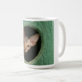 Beker met een schattig sphynx kitten koffiemok (Voorkant rechts)