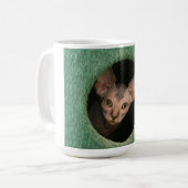 Beker met een schattig sphynx kitten koffiemok (Voorkant links)