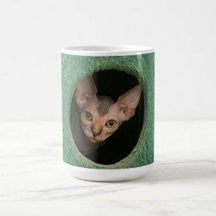 Beker met een schattig sphynx kitten koffiemok