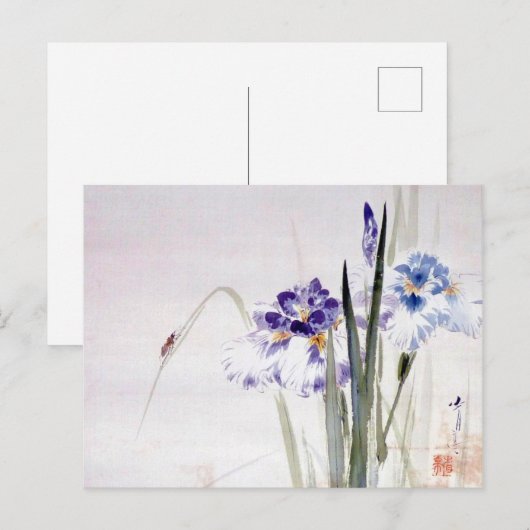 Bekergte op Iris Leaf, Watanabe Seitei Briefkaart (Voorkant / Achterkant)