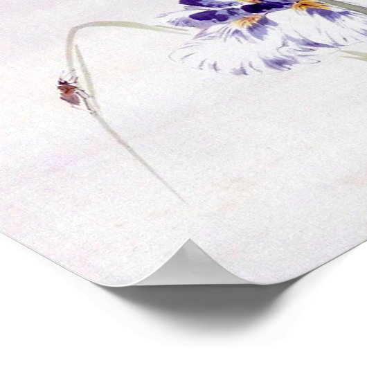 Bekergte op Iris Leaf, Watanabe Seitei Poster (Hoek)