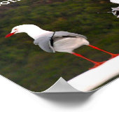 Bekijk beide manieren poster (Hoek)