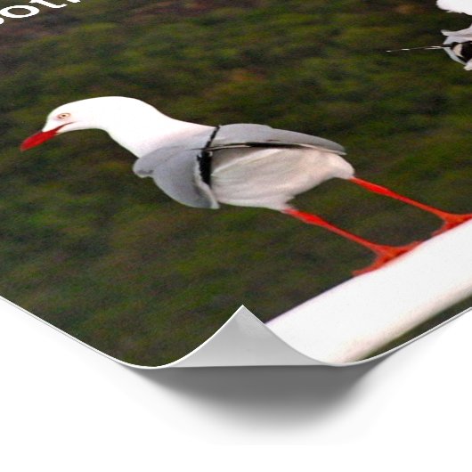 Bekijk beide manieren poster (Hoek)