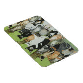 Bekijk de Birdie Magneet (Rechterzijde)