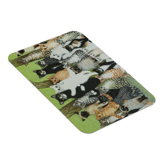 Bekijk de Birdie Magneet (Rechterzijde)