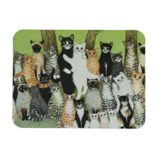 Bekijk de Birdie Magneet