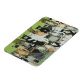 Bekijk de Birdie Magneet (Linkerzijde)