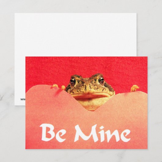 Bekijk de foto van mijn kikker briefkaart (Voorkant / Achterkant)