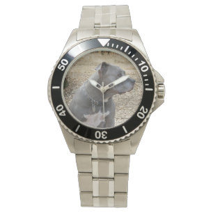 Bekijk de Mannen van Pitbull Profile Horloge