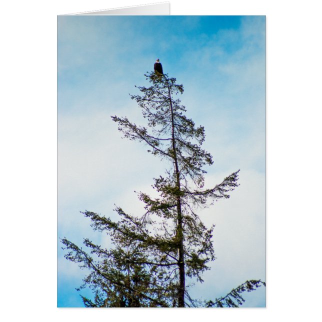 Bekijk de toren (Voorkant)