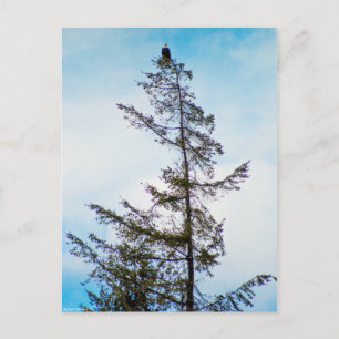 Bekijk de toren briefkaart