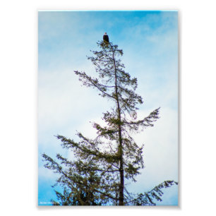 Bekijk de toren foto afdruk