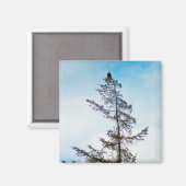 Bekijk de toren magneet (Voorkant / Achterkant)