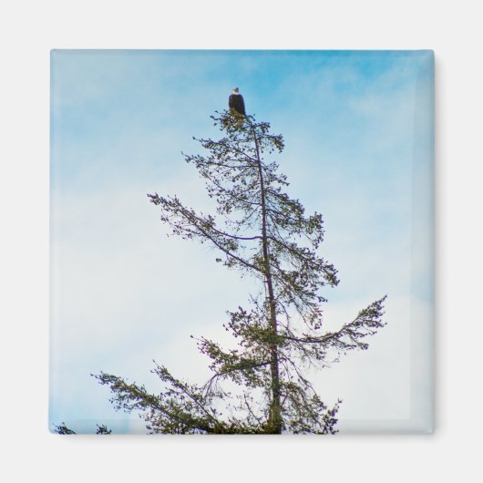 Bekijk de toren magneet (Voorkant)