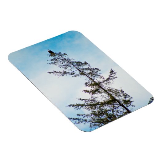 Bekijk de toren magneet (Rechterzijde)