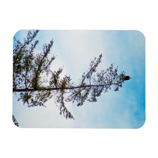 Bekijk de toren magneet (Horizontaal)