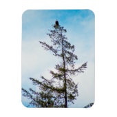 Bekijk de toren magneet (Verticaal)