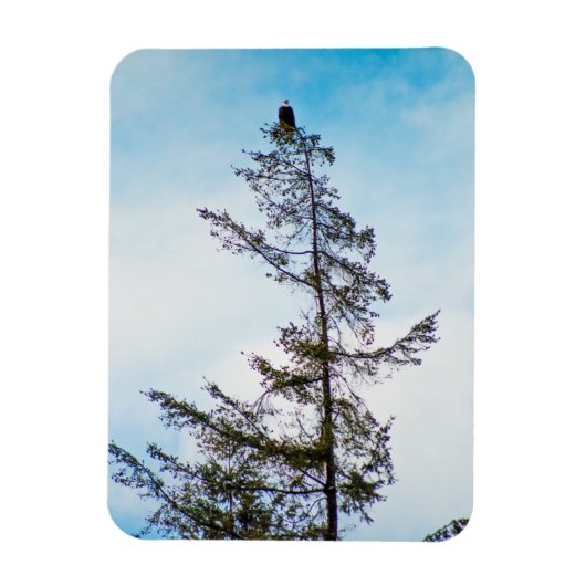 Bekijk de toren magneet (Verticaal)