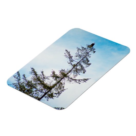 Bekijk de toren magneet (Linkerzijde)