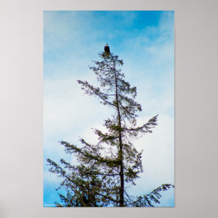 Bekijk de toren poster