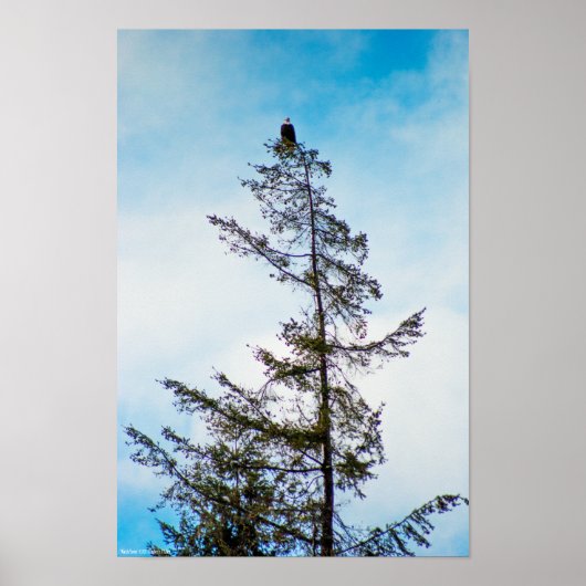 Bekijk de toren poster (Voorkant)