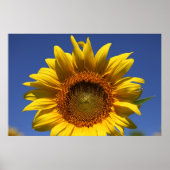 Bekijk een boe poster (Voorkant)