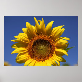 Bekijk een boe poster