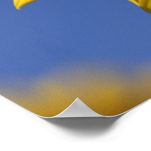 Bekijk een boe poster (Hoek)